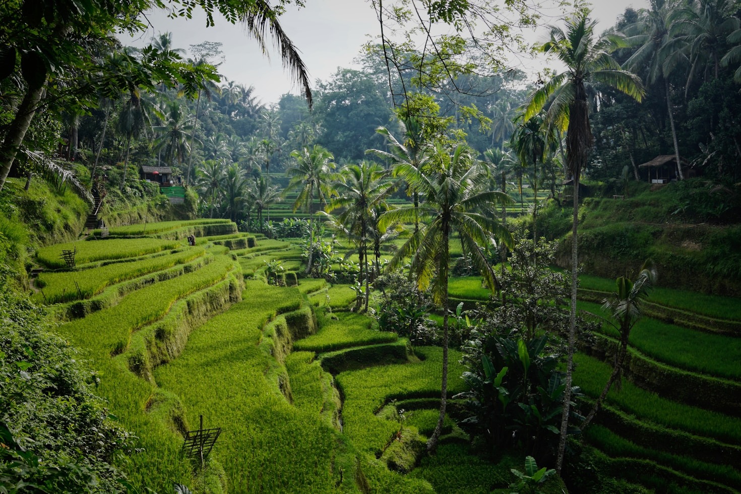 Nachhaltiges Reisen in Bali: Tipps und Tricks